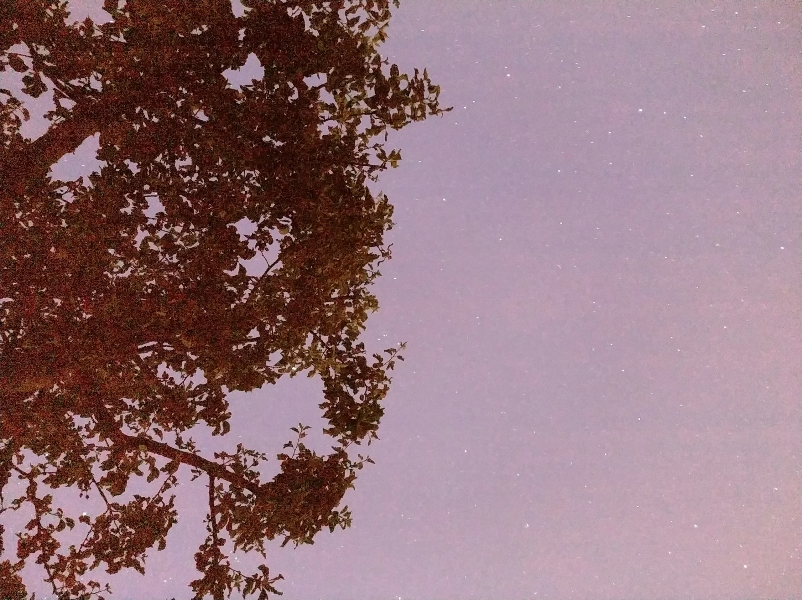 星际牛仔